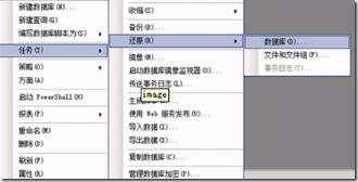 Sql server  的完整备份和差异备份预览图